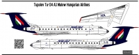 Декаль  Туполев Ту-134 А3 а.к. Малев 1\144