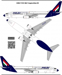 Boeing 737-800 Malev decal 1\100