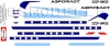 Mil Mi-10K Aeroflot 80-th decal 1\100