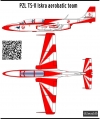 PZL TS-11 Iskra aerobatic team decal scale 1\72