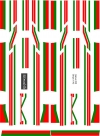 Икарус 255 Естония 1\43